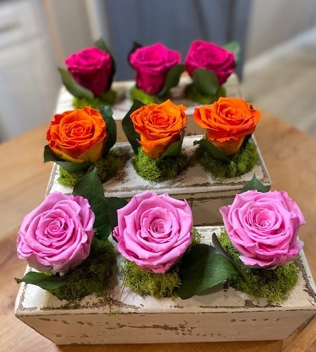 Blooming Roses in Sugar Mold 5, 7, and 12 Hole